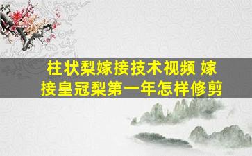 柱状梨嫁接技术视频 嫁接皇冠梨第一年怎样修剪